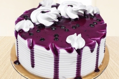 Blueberry-cake12